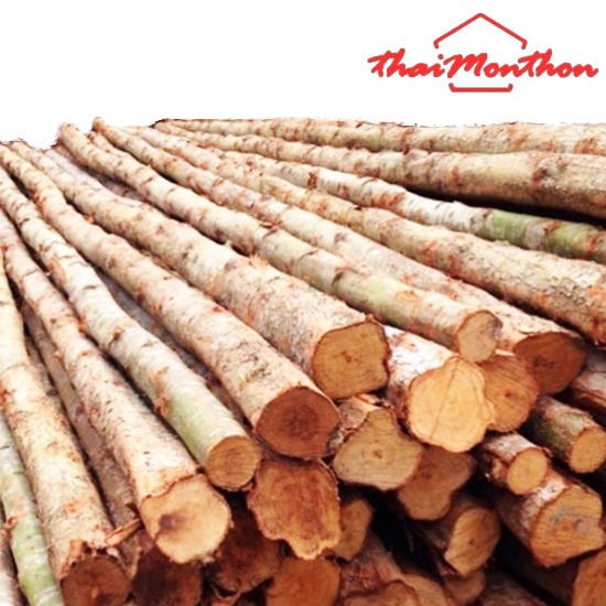 ไม้เสายูคาสามพราน - ร้านวัสดุก่อสร้างพุทธมณฑลสาย4 - ไทยมณฑล โฮมมาร์ท 